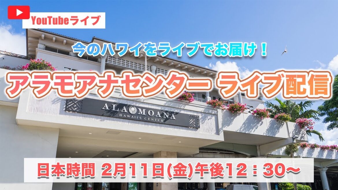 【YouTubeライブ】日本時間2月11日(金)お昼12時30分開始!アラモアナセンターから配信します!皆さまのご参加お待ちしています♪ 【YouTubeライブ】日本時間2月11日(金)お昼12時30分開始!アラモアナセンターから配信します!皆さまのご参加お待ちしています♪