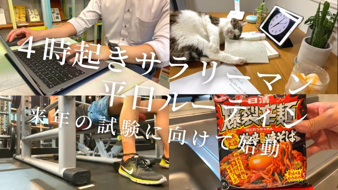 【５時起き社会人ルーティン＃０６】新たなスタート！試験までたった３６５日【Study vlog 司法書士 TOEIC】