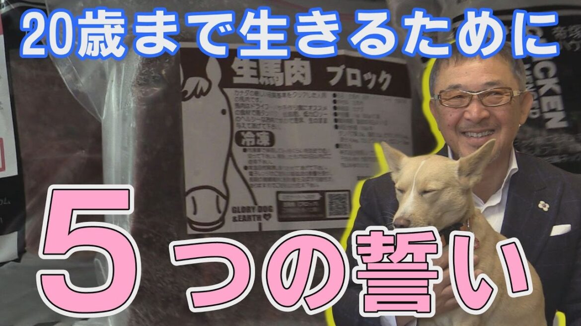 帝塚山ハウンドカム５つの誓い　「愛犬が20歳まで元気に生きられるように」　食へのこだわり・運動・精神の安定