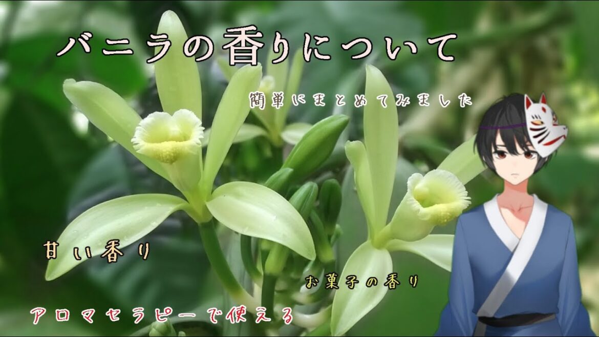 バニラの香りについて【解説】