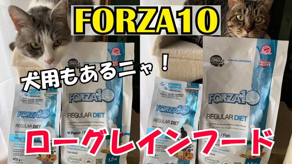 FORZA10(フォルツァディエチ)のローグレインフード［獣医］
