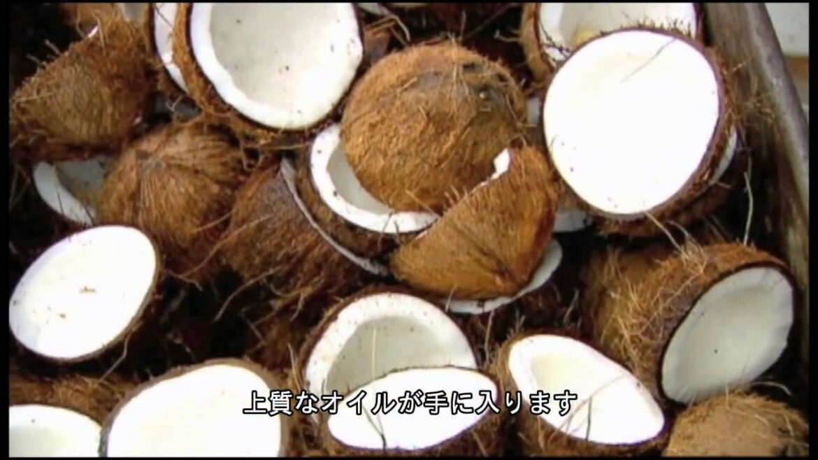 ザ・ボディショップ製品のラベル裏のストーリー：ココナッツオイル
