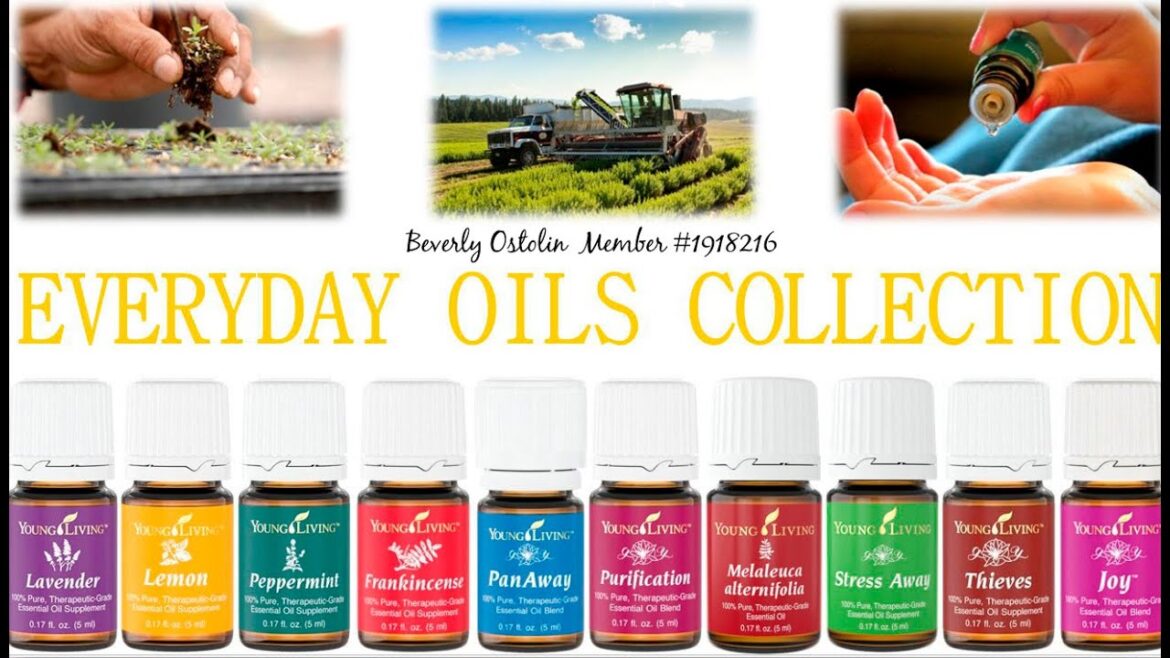 Essential Oils 101 Introduction Class
