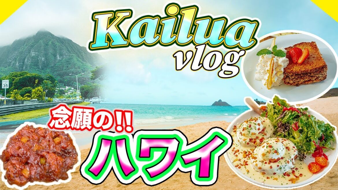 【ハワイ旅行】kailua Vlog｜行列！Over Easyで朝食〜｜綺麗すぎるカイルアビーチ｜お土産に大人気なマカデミアナッツ！＠トロピカルファーム　ハワイ旅行記