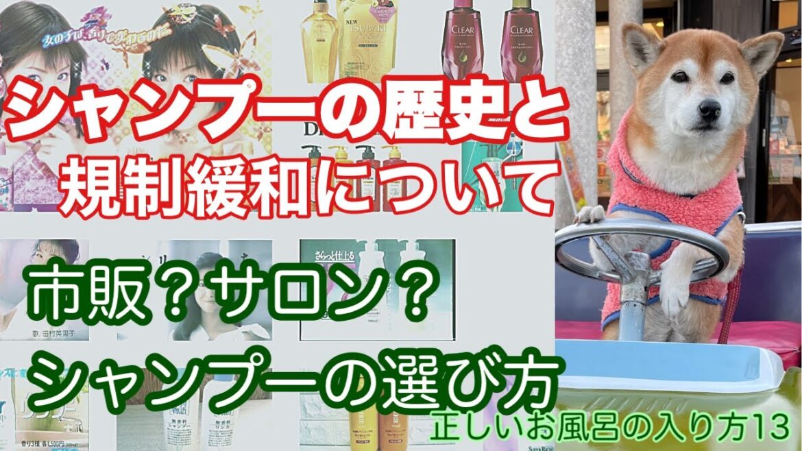 市販？サロン？シャンプーの選び方　シャンプーの歴史と規制緩和について　[正しいお風呂の入り方13]