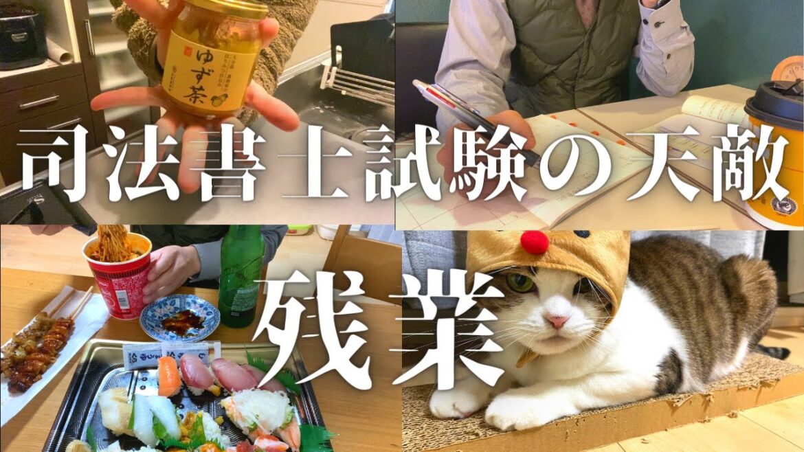 【仕事か勉強か＃２２】残業と戦う司法書士受験生【Study vlog 司法書士試験受験生】