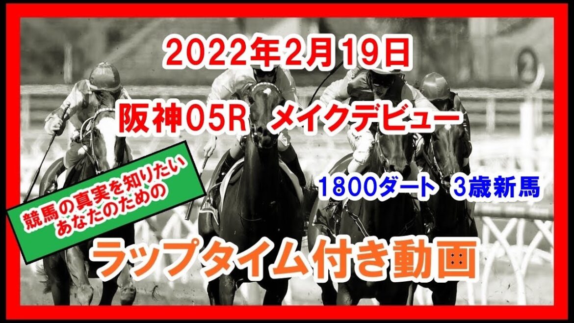 メイクデビュー メイショウオグマ 2022年2月19日 阪神 05R 1800ダート 3歳新馬 ラップタイム付き動画