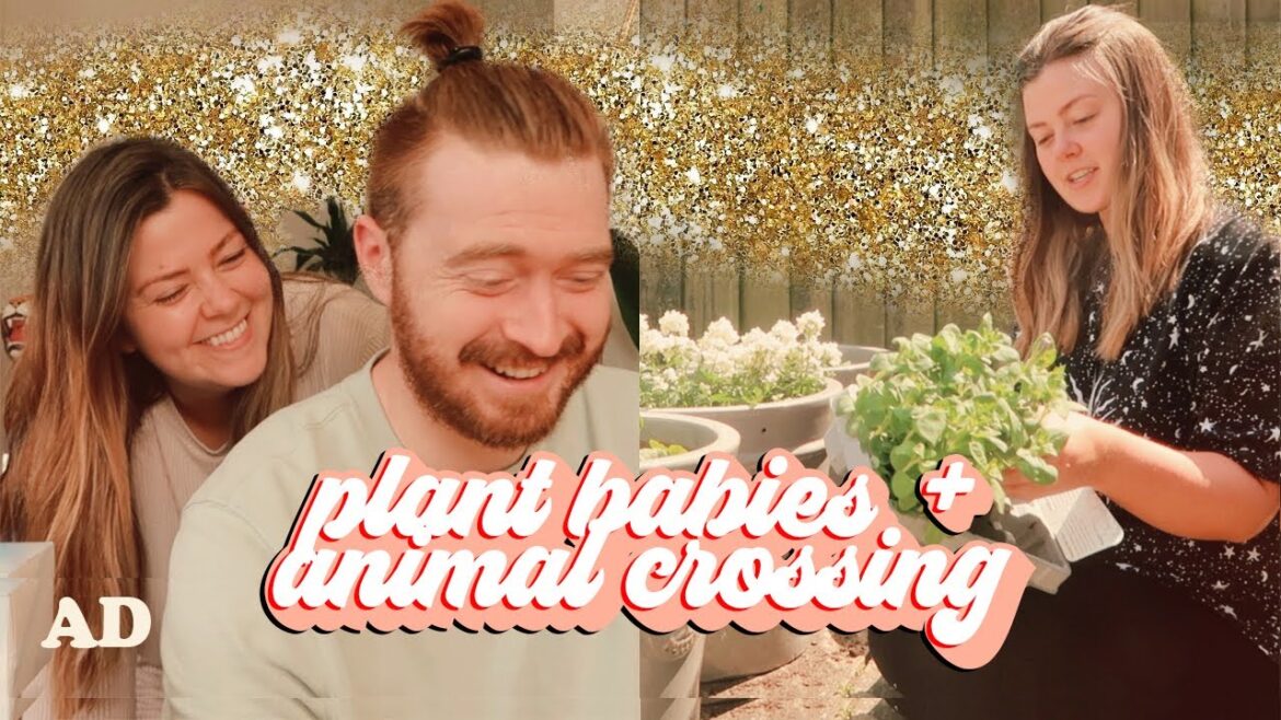 HOME VLOG - PLANT BABIES, CARE PACKAGES + MY ANIMAL CROSSING HOUSE | LUCY WOOD [AD]