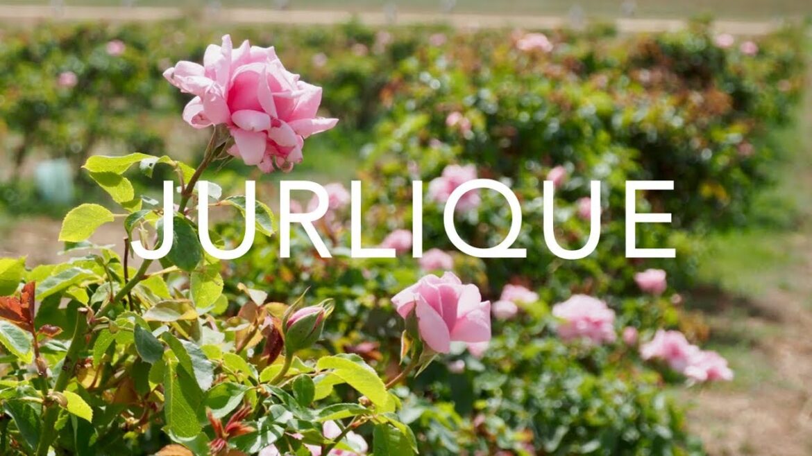 Beauty Tour: Jurlique Farm | Adelaide, Australia