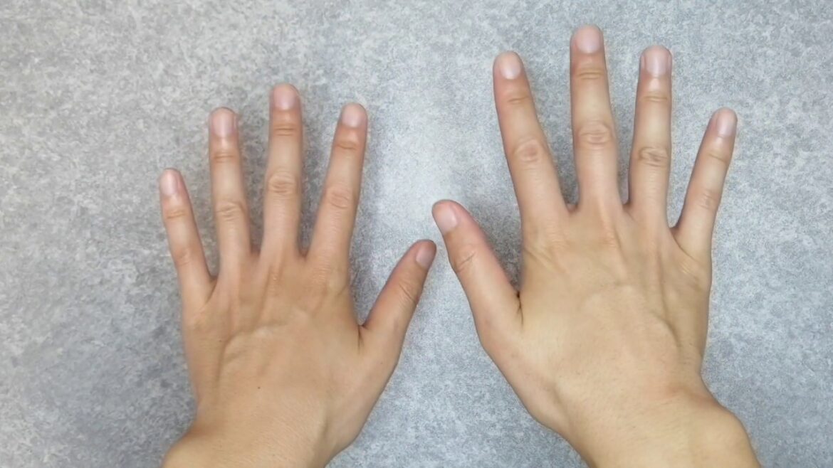 目指せ！ハンドモデルへの道（仮）