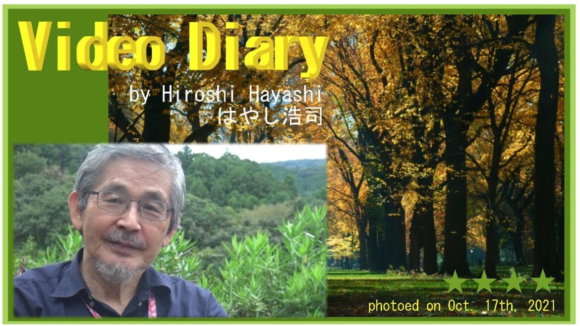 02029 Video Diary Michelangelo's Moses is NOT Moses,but God himselfモーゼ像ははモーゼにあらず。神自身の自画彫刻だったby Hiros