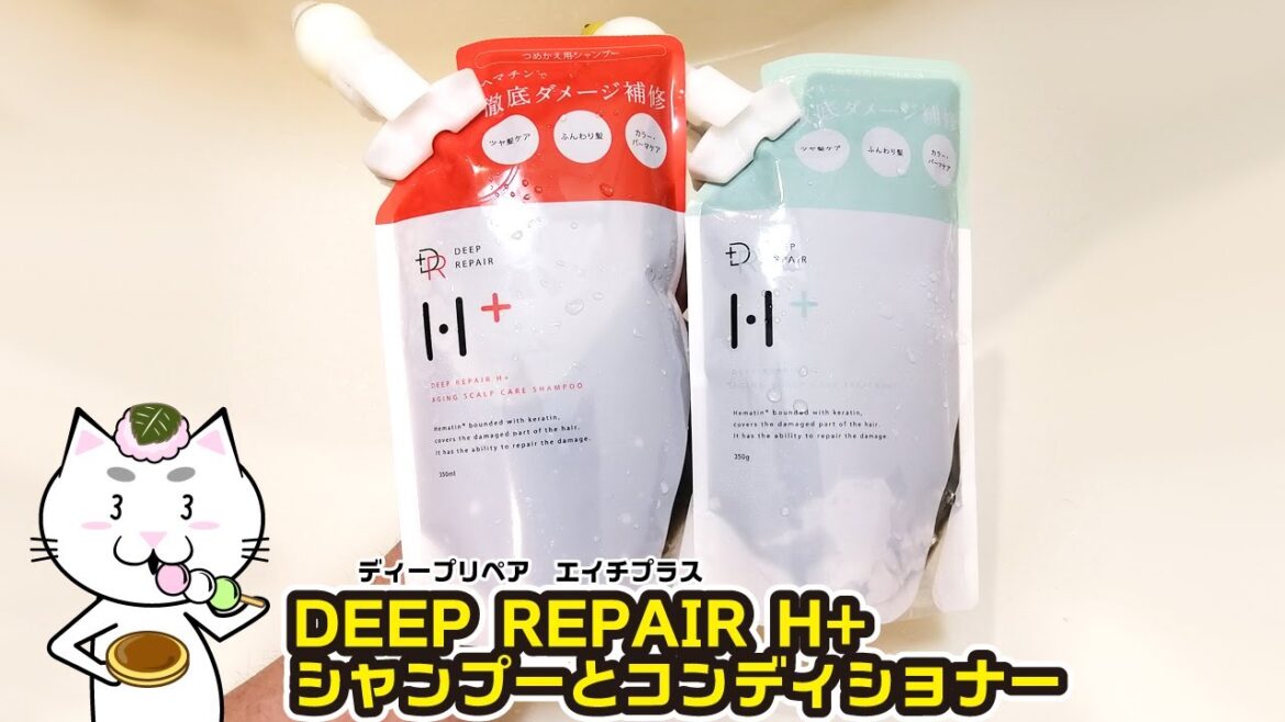 H+シャンプーとコンディショナーを頭皮のニオイを取る目的で使ってみた結果