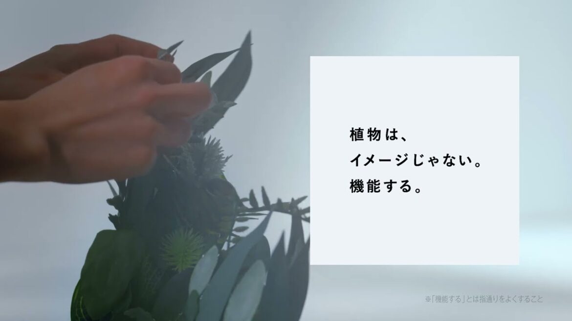 世の中に雑草という名の植物は、ない。【BOTANIST ブランドステートメント】