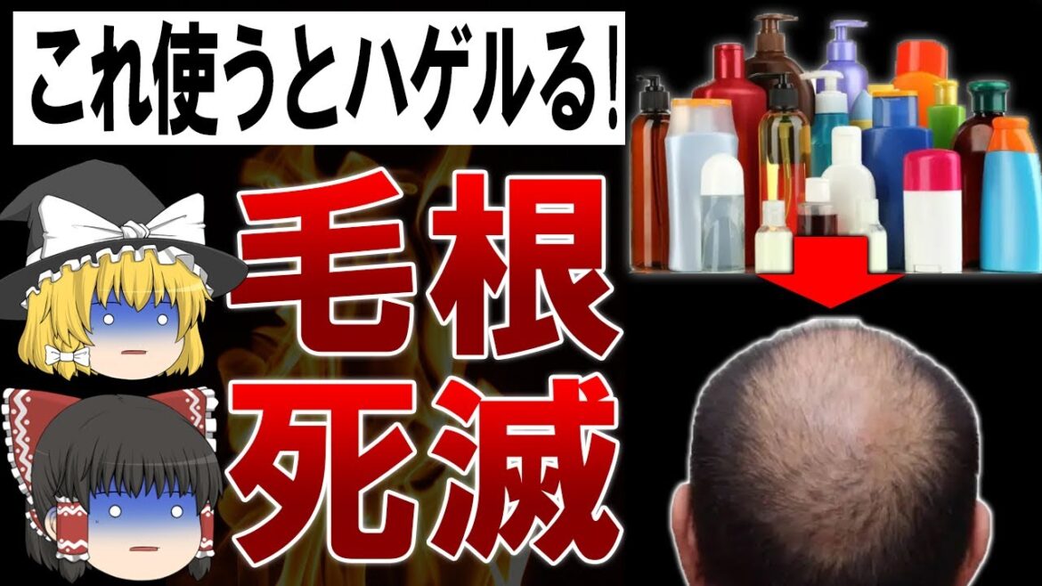 【ゆっくり解説】40代で絶対に使ってはいけない!ハゲるシャンプー 【ゆっくり解説】40代で絶対に使ってはいけない!ハゲるシャンプー