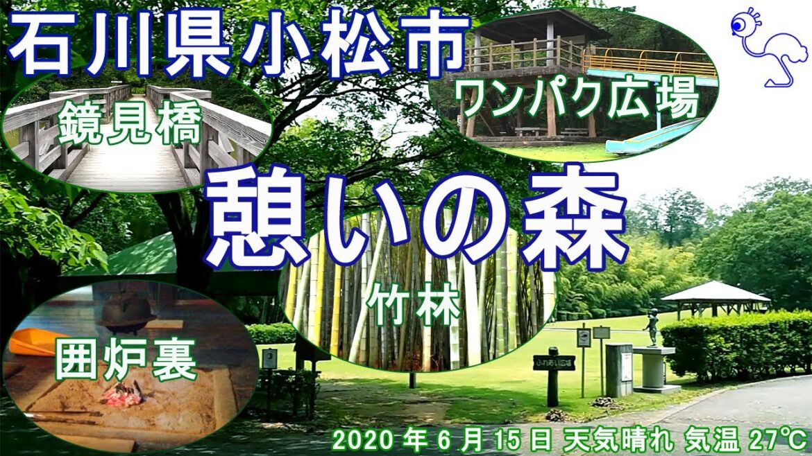 石川県 小松市 憩いの森  バーベキュー広場 古民家 大きな池 2020 石川県 小松市 憩いの森  バーベキュー広場 古民家 大きな池 2020