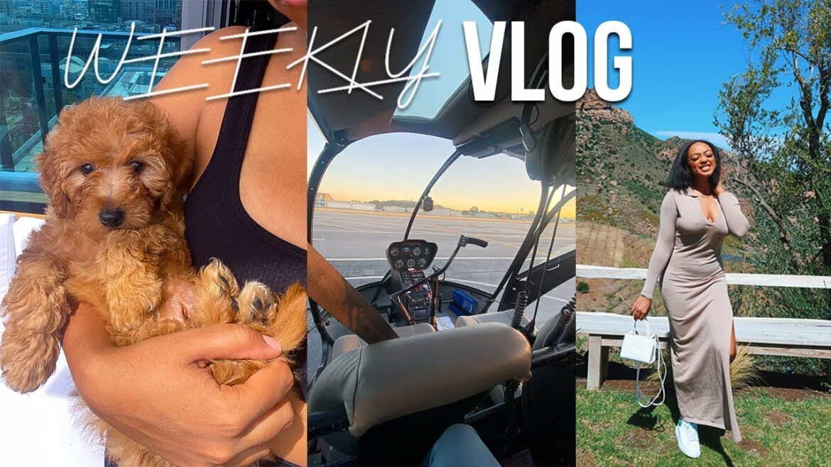 WEEKLY VLOG 4 | 24 HRS W/ MY NEW PUPPY, HELICOPTER RIDE DATE NIGHT + MALIBU WINE TOUR W/THE GIRLS! WEEKLY VLOG 4 | 24 HRS W/ MY NEW PUPPY, HELICOPTER RIDE DATE NIGHT + MALIBU WINE TOUR W/THE GIRLS!
