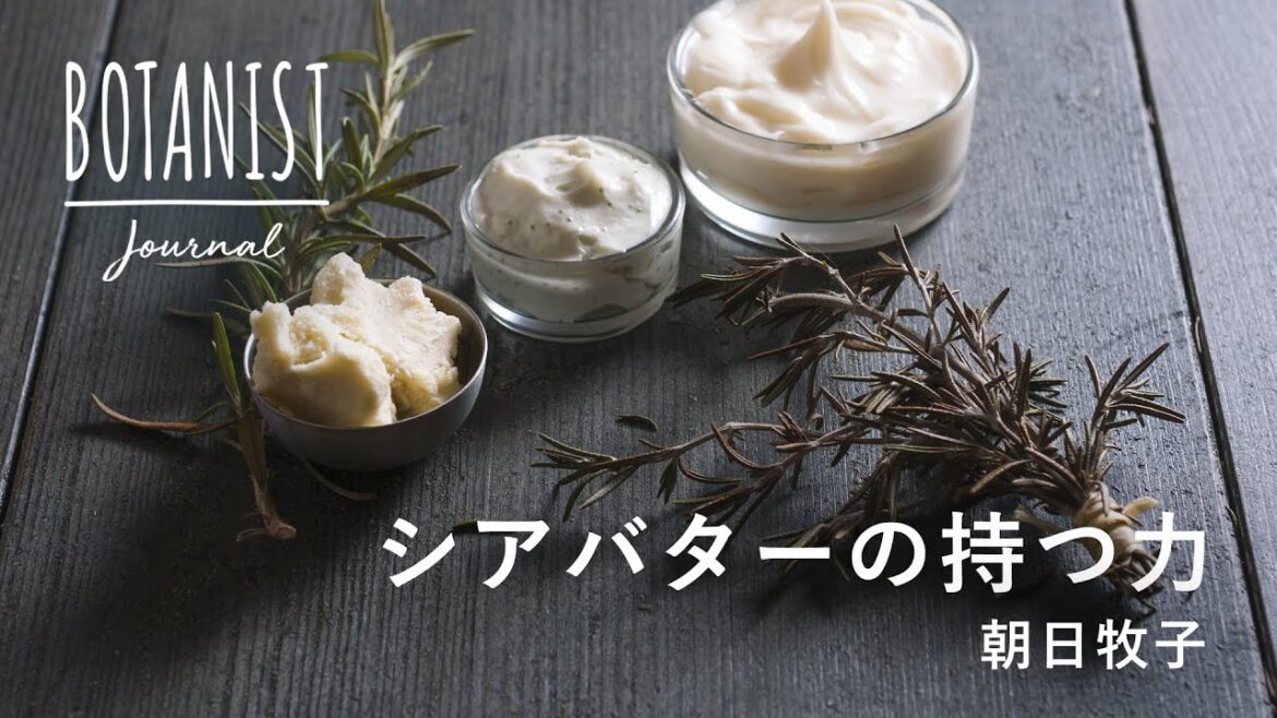 【BOTANIST JOURNAL】シアバターの持つ力 　 植物療法士/朝日牧子