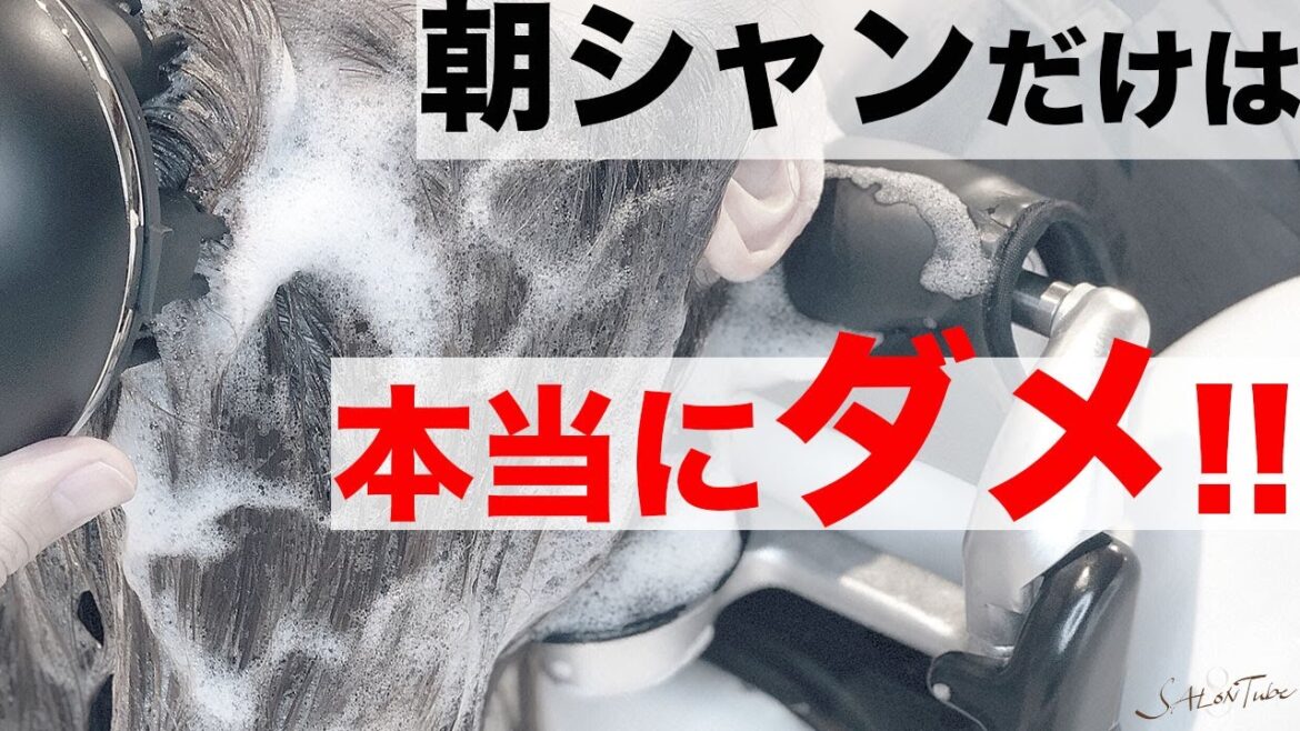 【悩み多数】朝シャンだけは本当にやめて…　表参道美容師 SALONTube 渡邊義明