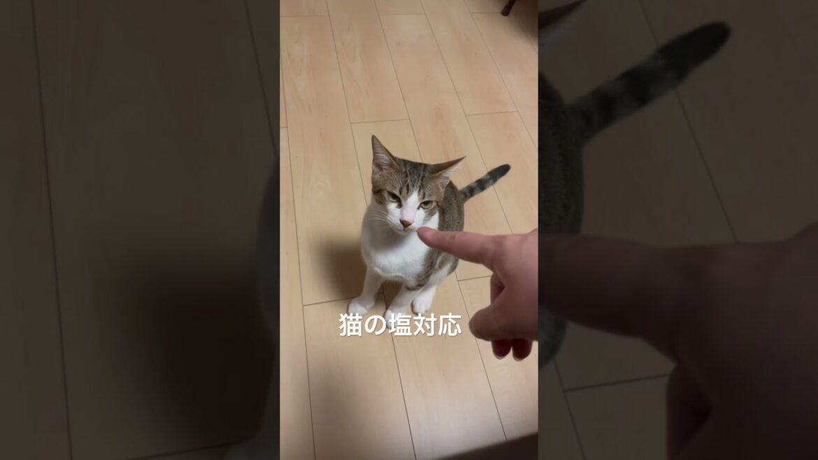 ハンドクリーム変えたら気に入らないのか殴られました