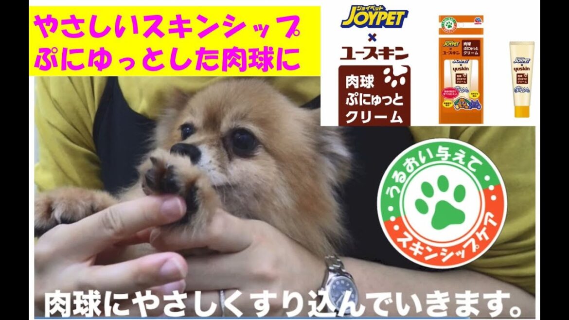 JOYPET×ユースキン肉球ぷにゅっとクリームわんちゃん編｜アース・ペット