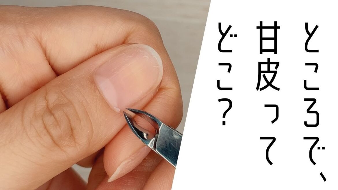 甘皮ケアのやり方を詳しく解説♪キューティクルニッパーなど使い方&愛用品をご紹介! 甘皮ケアのやり方を詳しく解説♪キューティクルニッパーなど使い方&愛用品をご紹介!