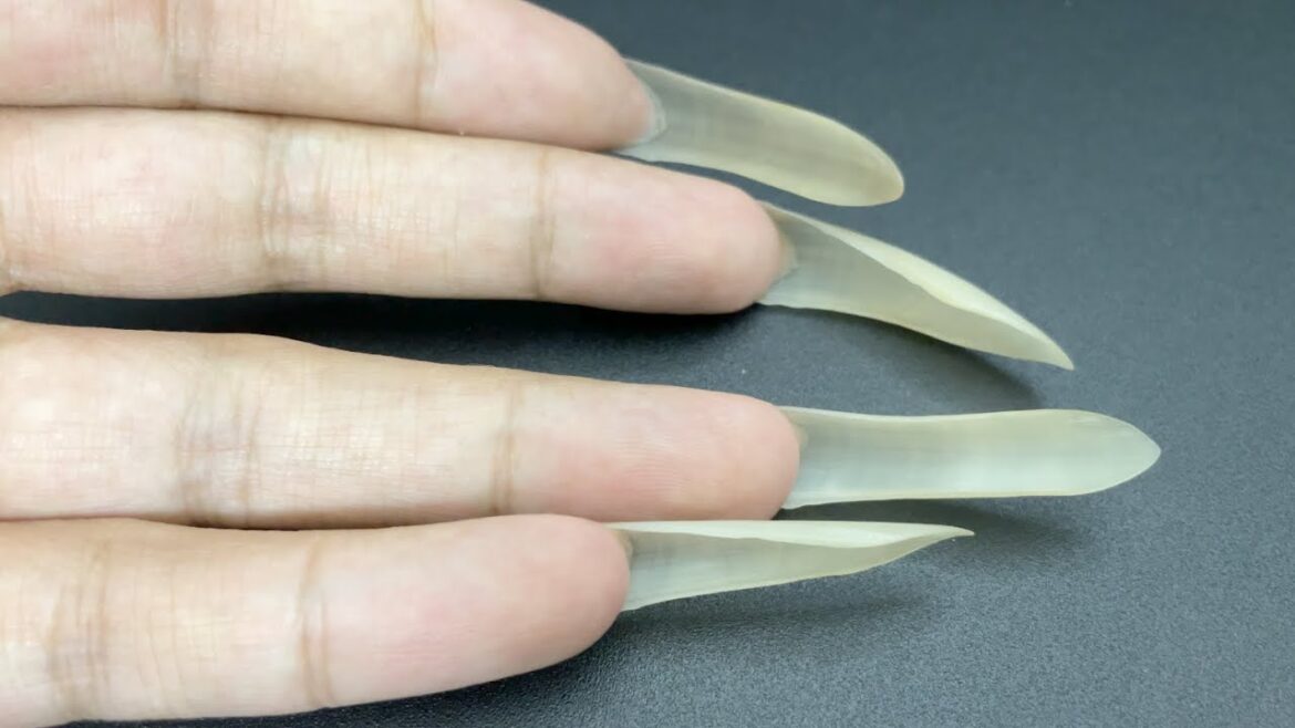 【爪】ハイポニキウムの伸ばし方 【爪】ハイポニキウムの伸ばし方