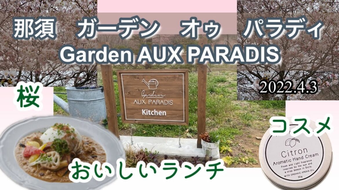2022年4月3日　那須にあるAUX PARADIS（オゥパラディ）でランチしてきました。桜は2部咲きかな。