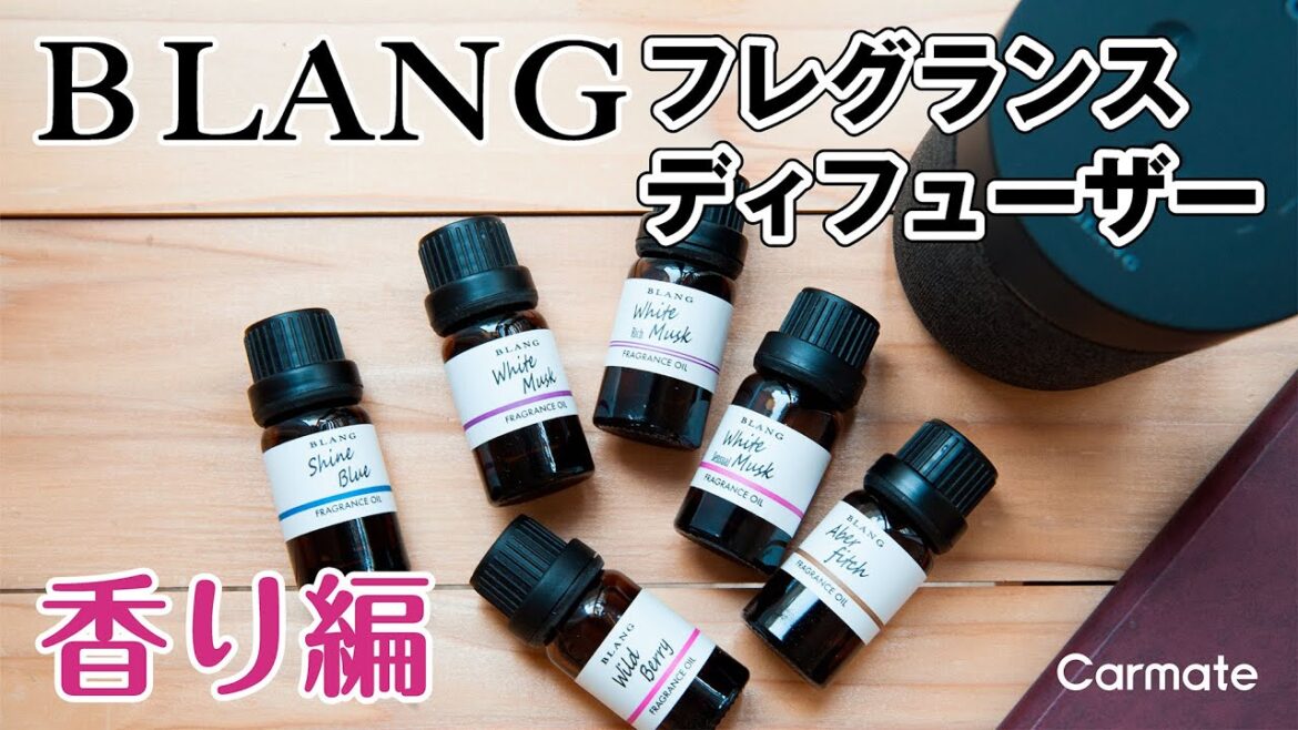 【BLANG】噴霧式フレグランスディフューザー香り編!!【もはや香水】