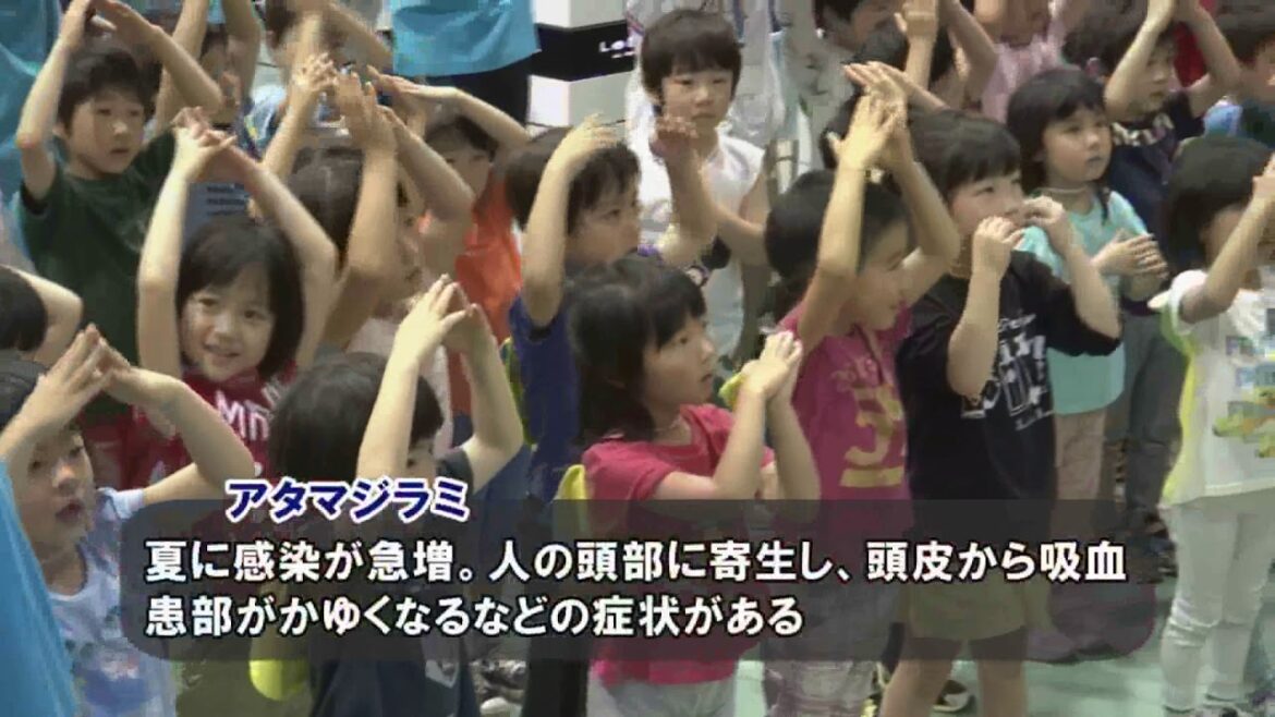 キッズシャンプープロジェクト