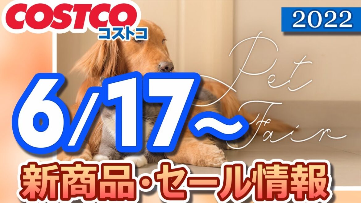 コストコ 新商品 最新セール情報 2022/6/17～ 【お買い得】