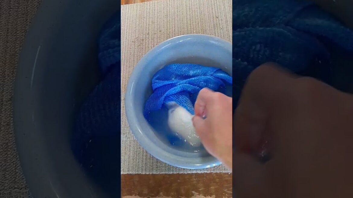 主婦の方、必見、牛乳せっけん、良い石鹼は今も昔も変わらない、泡立ち、香り、使用性で文句なしの3つ星！！　＃shorts