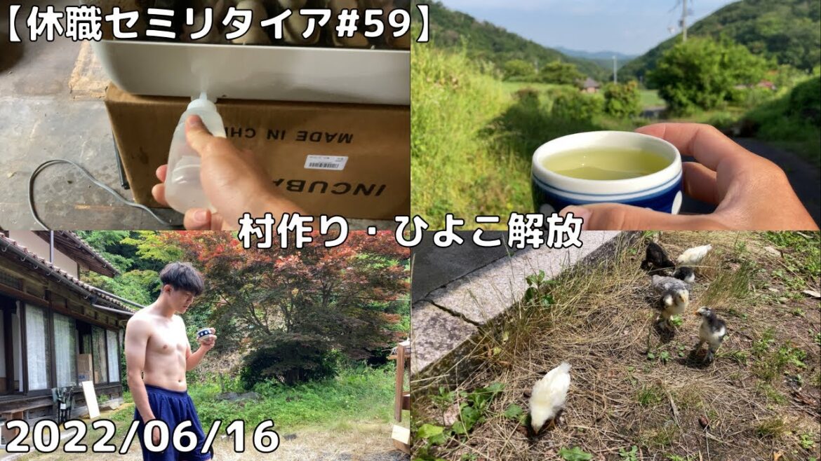 【筋トレ村#5】村作り・ひよこ解放
