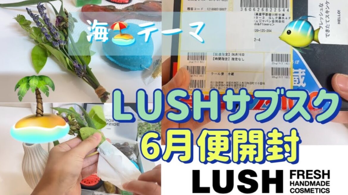 【サブスク】LUSH/サブスク6月便♥️届いたよ〜！簡単に紹介！気になる中身は？月額5000円💰LUSHサブスク開封動画💕