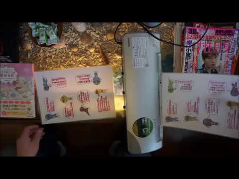 群馬県 伊勢崎市 ノンシリコンなのに全然きしまない こんな育毛シャンプーが欲しかった 群馬県 伊勢崎市 ノンシリコンなのに全然きしまない こんな育毛シャンプーが欲しかった