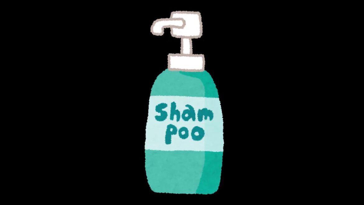 リンスのいらないメリット ☆Electro House Bootleg Remix☆