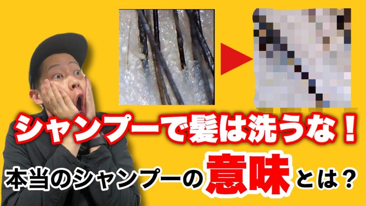 【シャンプーで髪は洗うな！！】美容師が教える本当のシャンプーの目的とは？！