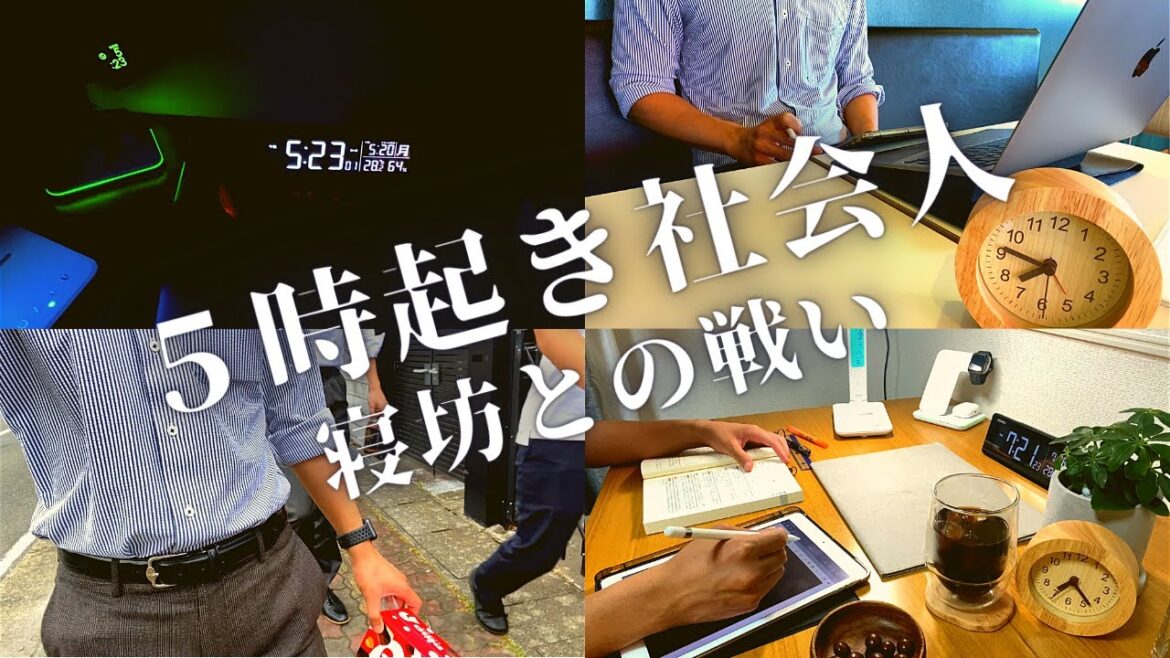 【筋トレ社会人ルーティン＃０８】司法書士試験合格まで突き進む社会人【Study vlog 司法書士 TOEIC】