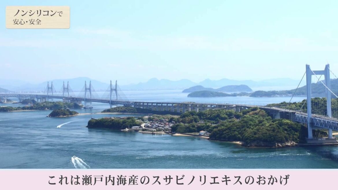 rinRen リンレン（凜恋）　日本の幸で、洗おう（7つの無添加と天然由来洗浄成分）