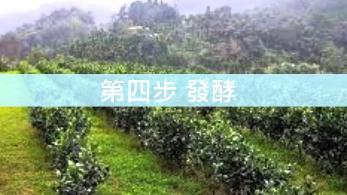 201-3日月老茶廠