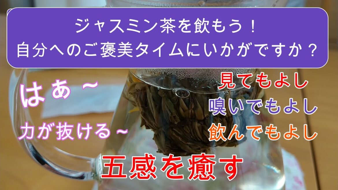 【アロマテラピー】精油番外編:ジャスミンサンバック(ジャスミン茶)を飲んでみよう。五感が癒される。 【アロマテラピー】精油番外編:ジャスミンサンバック(ジャスミン茶)を飲んでみよう。五感が癒される。