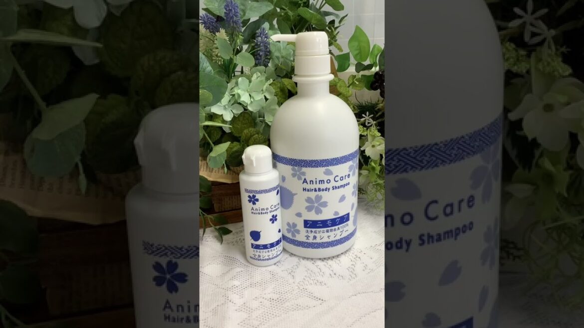 体臭予防 石鹸  ボディソープ 無添加