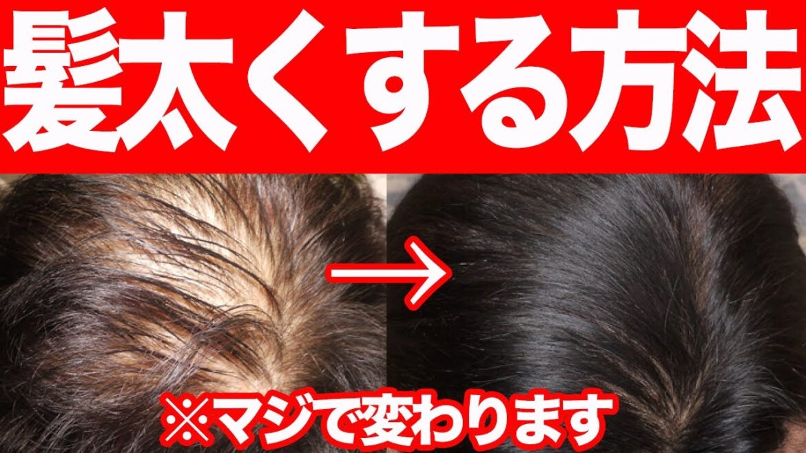 細い髪を太くする裏技!効果抜群の方法を紹介♪ 細い髪を太くする裏技!効果抜群の方法を紹介♪