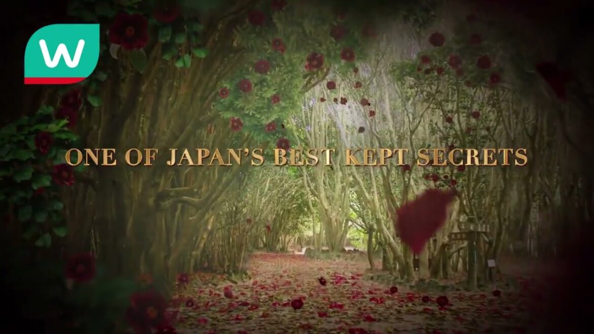 Japan's Best Kept Haircare Secret with Tsubaki