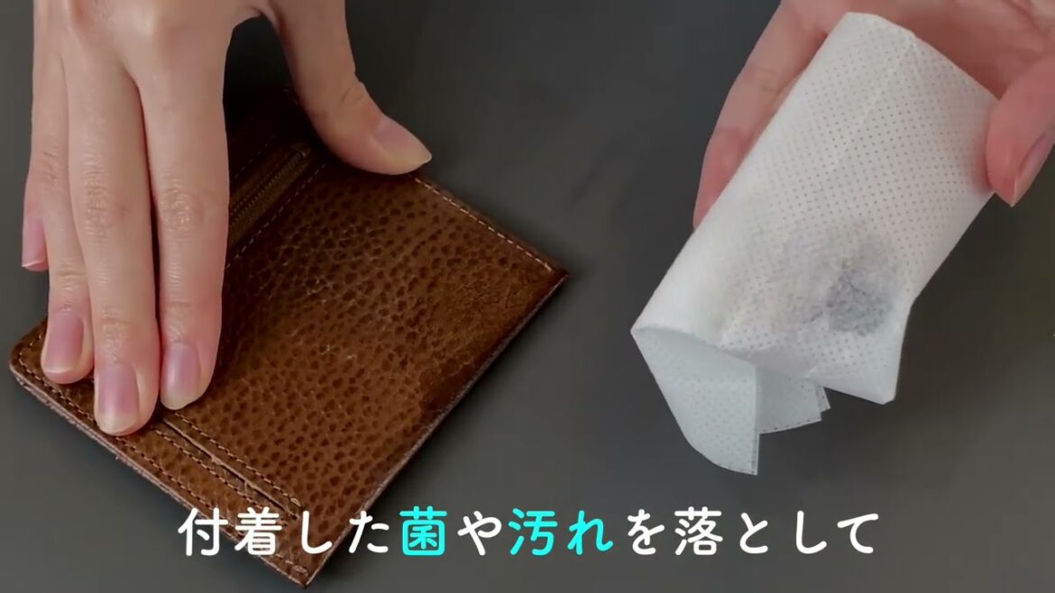 【HOW TO CARE】菌や汚れを落としてカビから守る！『レザーキュア カビ用クリーニングシート』