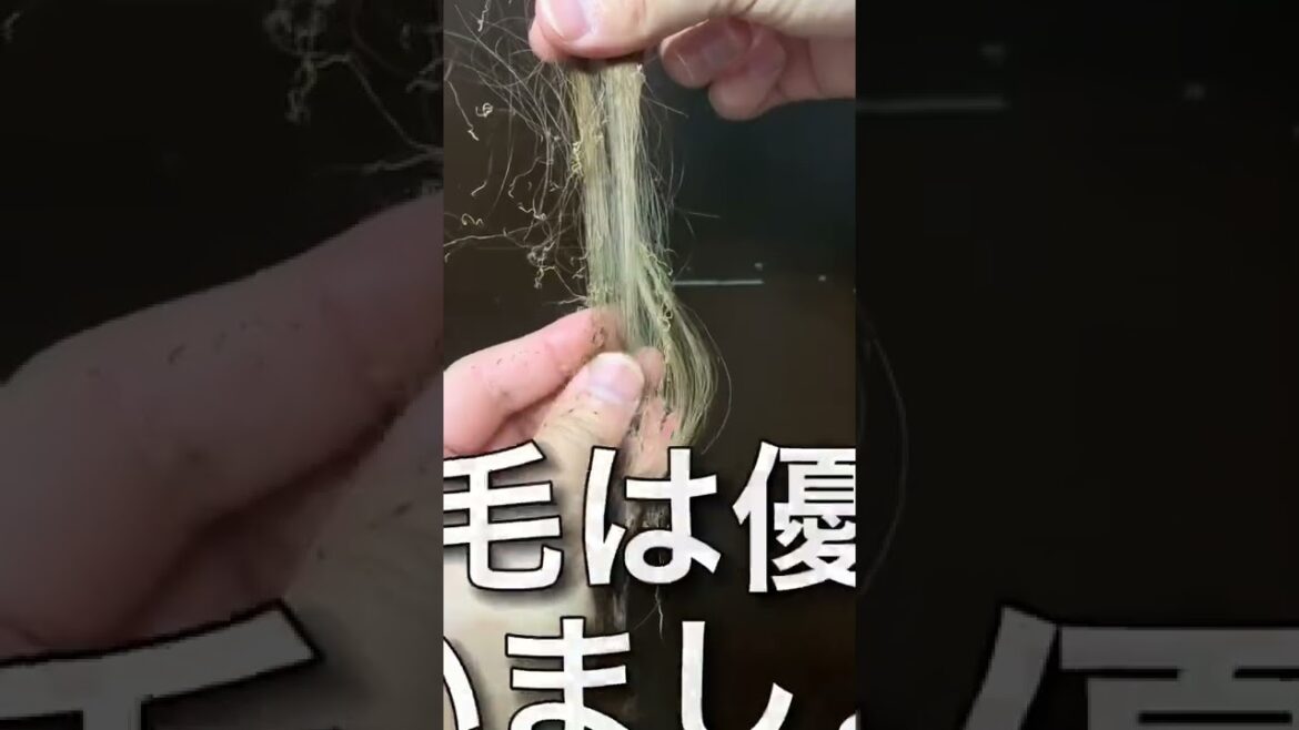 マジでやばいダメージ毛