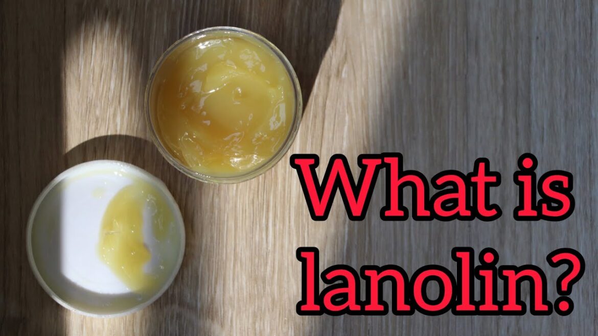 lanolin