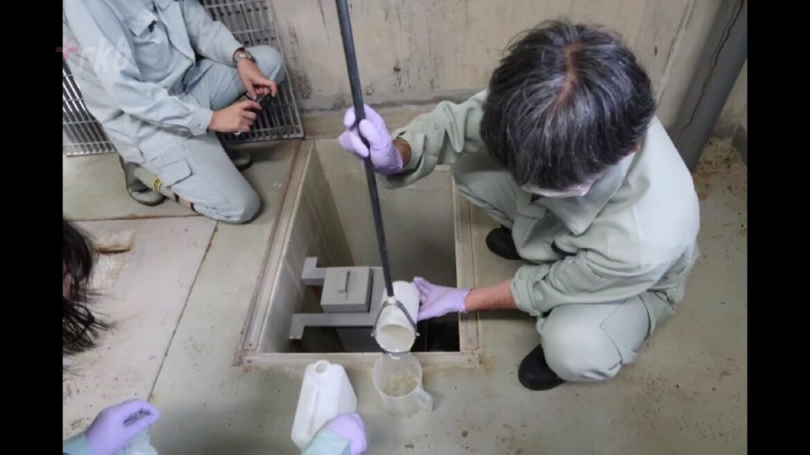 “洗剤”を“石けん”に変えたら？下水の汚れが少なくなった～離島の全住民で実験