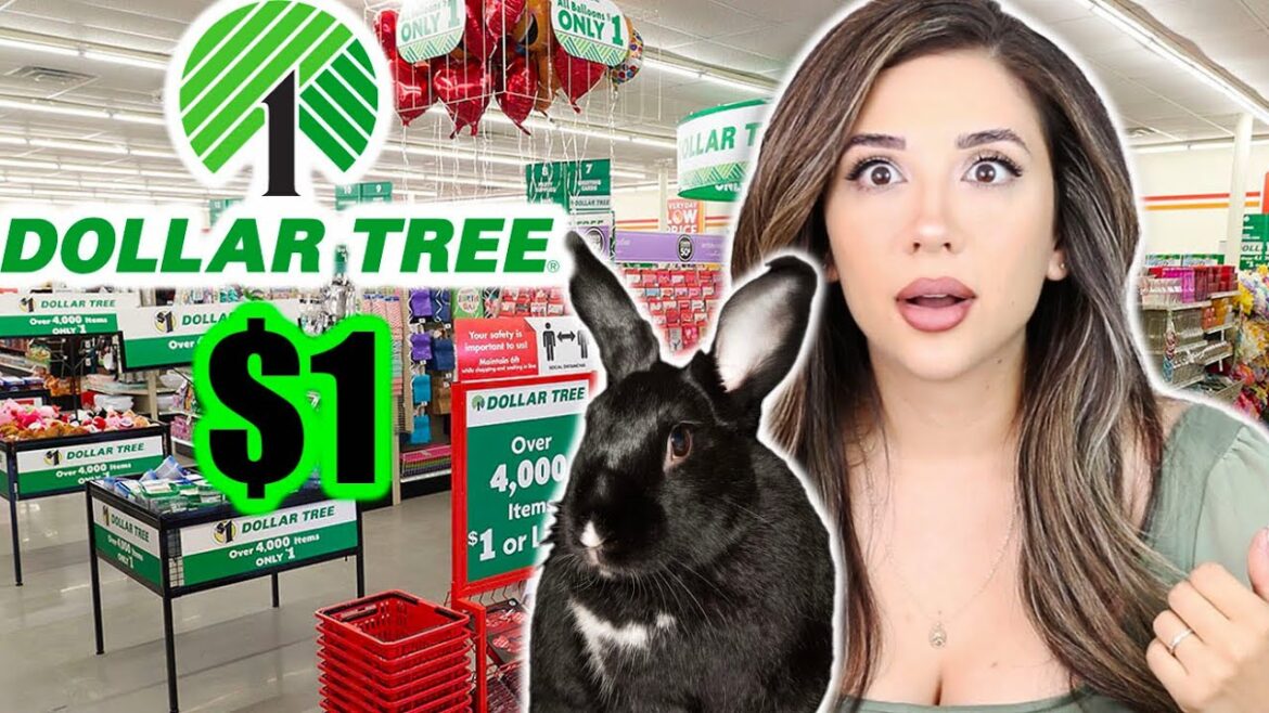 Things You Can Buy at DOLLAR TREE for Rabbits! Things You Can Buy at DOLLAR TREE for Rabbits!