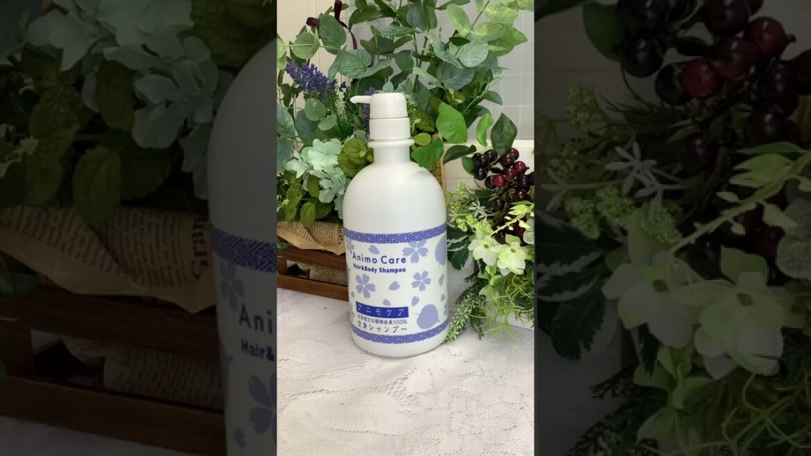 体臭予防 石鹸  ボディソープ 無添加