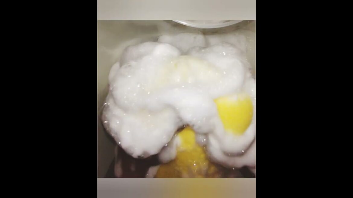 White Rain Coconut & Hibiscus Moisturizing Shampoo Sponge Squeezing ASMR/ Big Fluffy Suds 🫧🥥🌺🧴🧽